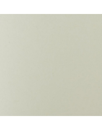 250g Shiro Echo Blanco...
