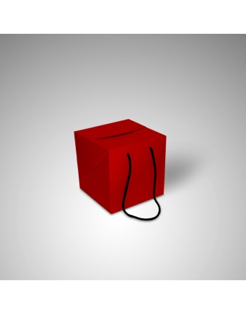 Bolsa cubo roja 20x20x20 cm